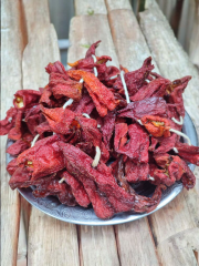 Dolmalık Kapya Biber (1 Bağ 50 Adet)